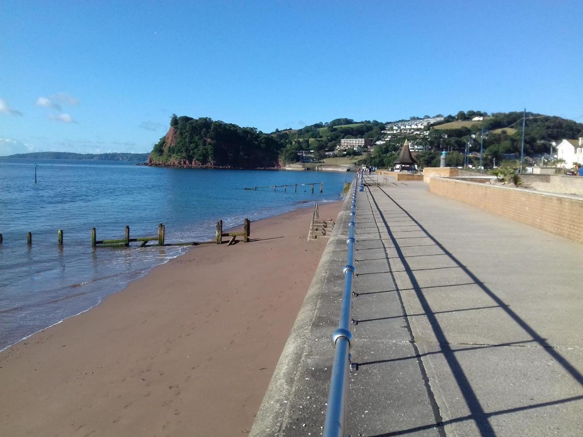 Sea Thrift * Teignmouth